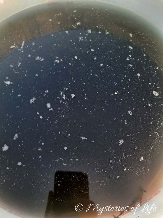 Gotowa gnojówka roślinna wykonana z pokrzywy do podlewania i oprysków