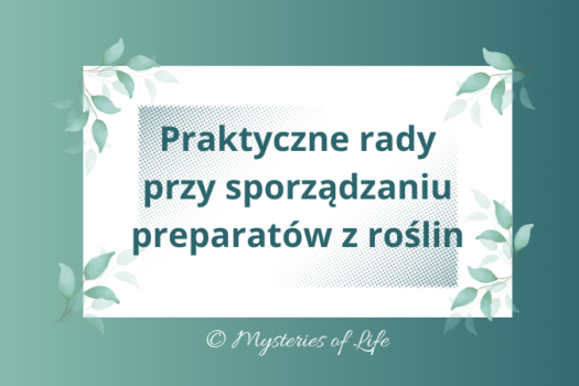 Porady jak sporządzać roślinne preparaty do ochrony roślin