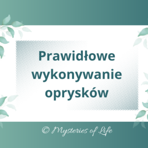 Ekologiczne opryski roślin w ogrodzie - jak je prawidłowo wykonywać