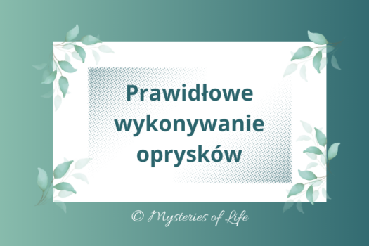 Ekologiczne opryski roślin w ogrodzie - jak je prawidłowo wykonywać