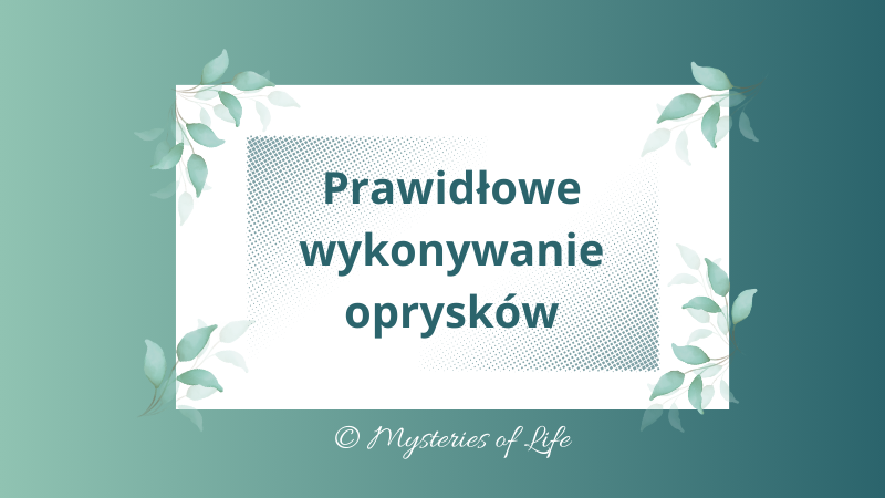 Ekologiczne opryski roślin w ogrodzie - jak je prawidłowo wykonywać