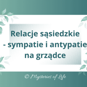 Relacje sąsiedzkie - sympatie i antypatie na grządkach w ogrodzie