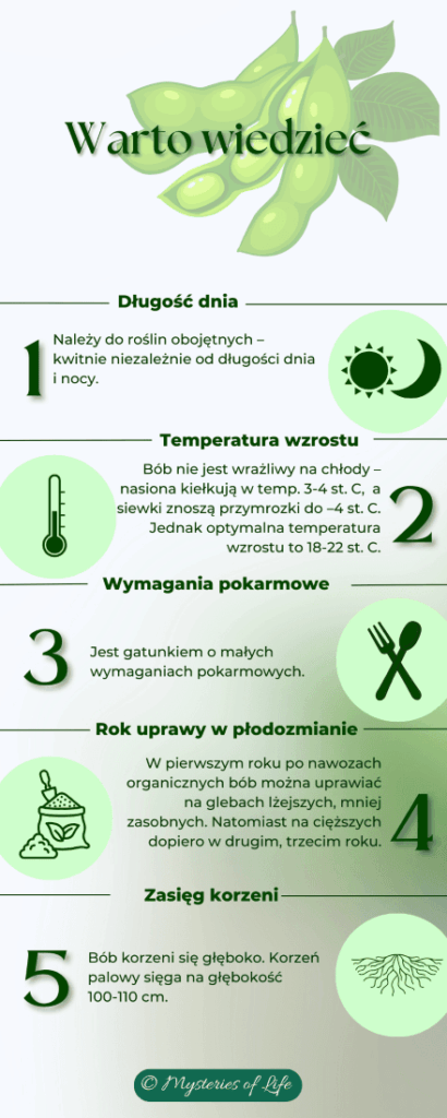 Warto wiedzieć jak uprawiać bób. Jakie ma wymagania uprawowe, temperaturę wzrostu i zasięg korzeni.