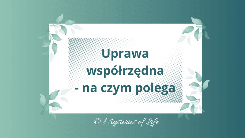Uprawa współrzędna - na czym polega