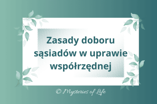 Zasady doboru sąsiadów w uprawie współrzędnej