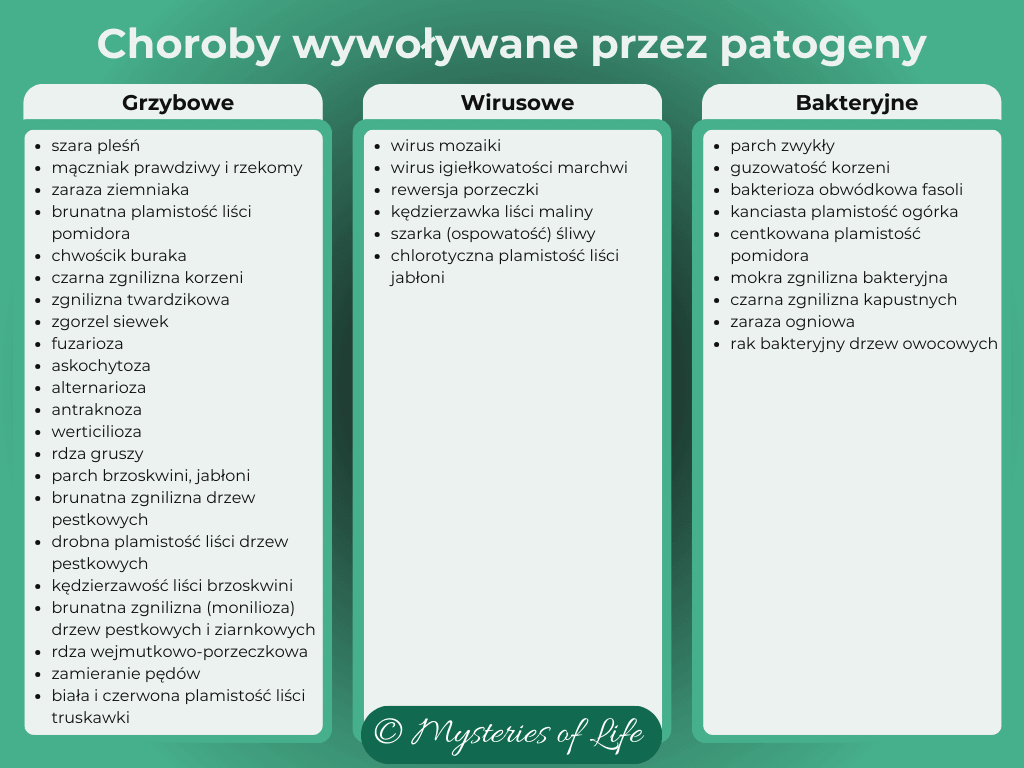 Choroby wywoływane przez patogeny: grzybowe, wirusowe i bakteryjne