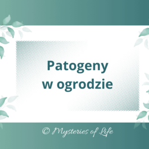 Jakie patogeny niszczą rośliny w ogrodzie. Patogeny grzybowe, wirusowe i bakteryjne.