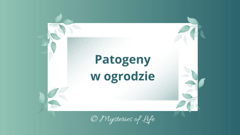Jakie patogeny niszczą rośliny w ogrodzie. Patogeny grzybowe, wirusowe i bakteryjne.