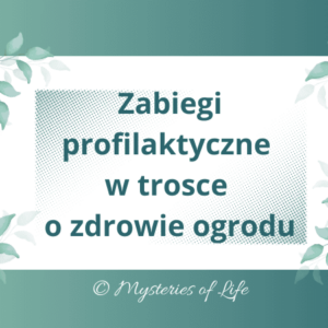 Zabiegi profilaktyczne w trosce o zdrowie ogrodu