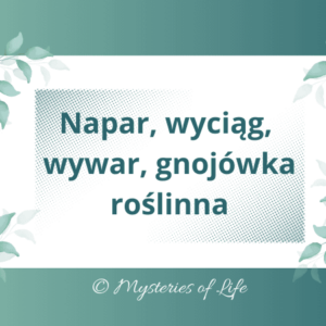Jak przygotować preparaty roślinne - napar, wyciąg, wywar i gnojówkę roślinną.