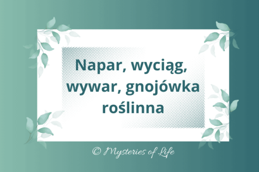 Jak przygotować preparaty roślinne - napar, wyciąg, wywar i gnojówkę roślinną.