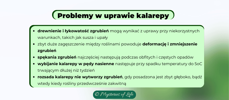 Jakie problemy występują w uprawie kalarepy