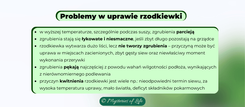 Problemy występujące w uprawie rzodkiewki