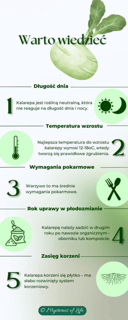 Kalarepa - warunki uprawy