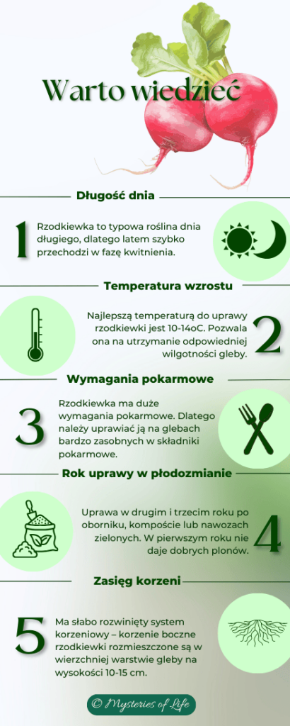 Rzodkiewka - wymagania uprawowe