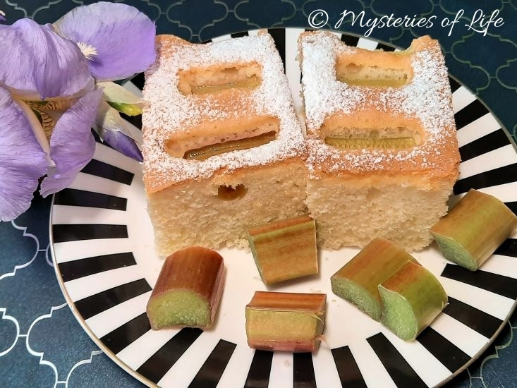 Letni deser – ciasto z rabarbarem prosto z ogrodu