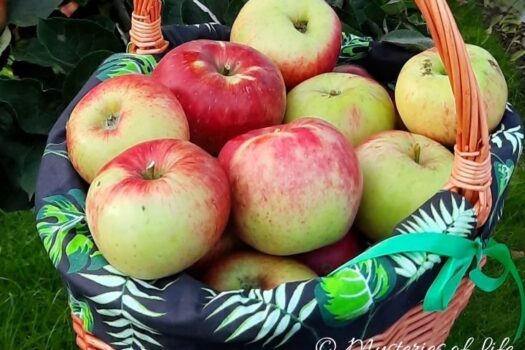 Naturalny wosk na jabłkach w koszyku