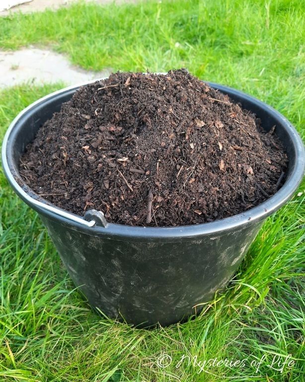 Kompost w ogrodzie w kwietniu